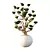 Luxury Potted Sphere Tree Model 3D model small image 1