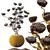 Luxury Potted Sphere Tree Model 3D model small image 3