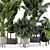  Modern Indoor Plant Set in Large Bau Pot 3D model small image 6