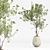 Diverse Indoor Plants Set 3D model small image 2