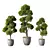 Evergreen Oasis Plant Set 3D model small image 1