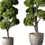 Evergreen Oasis Plant Set 3D model small image 2