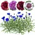 Centaurea 2018 Deluxe Flower Set 3D model small image 1