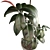 3D Model Collection Max 2015 - Plants, Chandelier, Decor. 3D model small image 3