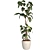 3D Plant & Decor Collection 3D model small image 2