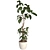 3D Plant & Decor Collection 3D model small image 8