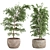  Shrub Indoor Plant Set 3D model small image 1