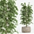  Shrub Indoor Plant Set 3D model small image 2