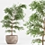  Shrub Indoor Plant Set 3D model small image 3