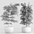  Shrub Indoor Plant Set 3D model small image 6