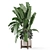 Rusty Concrete Pot Indoor Plants 3D model small image 3