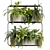 High-Quality Hanging Indoor Plant Model 3D model small image 1