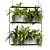 High-Quality Hanging Indoor Plant Model 3D model small image 2