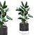  Elegant Plants Set 123 3D model small image 1