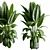 Rubber Tree Ficus Indoor Plant 3D model small image 1