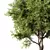 Modern Artistic Tree Sculpture 3D model small image 2