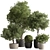 Grove Greenery 765 - Potted Tree 3D model small image 1