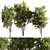 Evergreen Forest Needle Tree Set 3D model small image 1