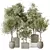 Elegant Olive Indoor Plant Set 3D model small image 1