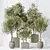 Elegant Olive Indoor Plant Set 3D model small image 2