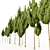 Juniperus Virginiana VRay Cedar Model 3D model small image 2