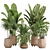 Green Indoor Plant Set 053 3D model small image 1