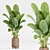 Green Indoor Plant Set 053 3D model small image 3