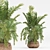 Green Indoor Plant Set 053 3D model small image 5