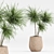 Green Indoor Plant Set 053 3D model small image 6