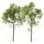 Spring Trees 3D Model Collection 3D model small image 1