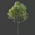 Spring Trees 3D Model Collection 3D model small image 2