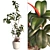 3D Plant and Decor Set 3D model small image 1