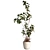 3D Plant and Decor Set 3D model small image 2