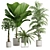 Exotic Indoor Plants Pack - 3D 3D model small image 1