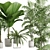 Exotic Indoor Plants Pack - 3D 3D model small image 2