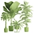 Exotic Indoor Plants Pack - 3D 3D model small image 3