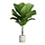 Exotic Indoor Plants Pack - 3D 3D model small image 4