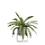 Exotic Indoor Plants Pack - 3D 3D model small image 7