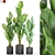 Botanical Marvels 3D Model Collection 3D model small image 1