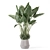 Modern Indoor Plants Set 2333 3D model small image 2