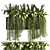 Lush Ivy Plant Set 13 3D model small image 1