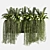 Lush Ivy Plant Set 13 3D model small image 2