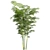 Chamaedorea Seifrizii Bamboo 3D Model 3D model small image 3