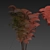 Chamaedorea Seifrizii Bamboo 3D Model 3D model small image 6