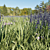 Lavender Meadow 3D Model 3D model small image 2