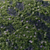 Lavender Meadow 3D Model 3D model small image 3