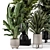 Modern Indoor Plants Set 2334 3D model small image 2