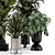 Modern Indoor Plants Set 2334 3D model small image 5