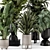 Modern Indoor Plants Set 2334 3D model small image 6