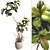 3D Plant & Decor Objects Bundle 3D model small image 1